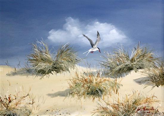 § John Houston O.B.E. R.S.A. R.S.W. (Scottish, 1930-2008) Terns flying over sand dunes, 12.5 x 17.5in.